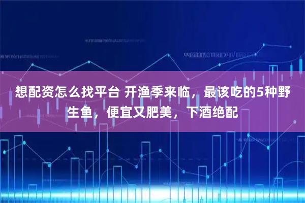 想配资怎么找平台 开渔季来临，最该吃的5种野生鱼，便宜又肥美，下酒绝配